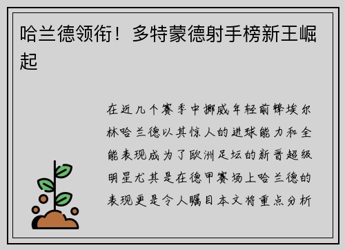 哈兰德领衔！多特蒙德射手榜新王崛起