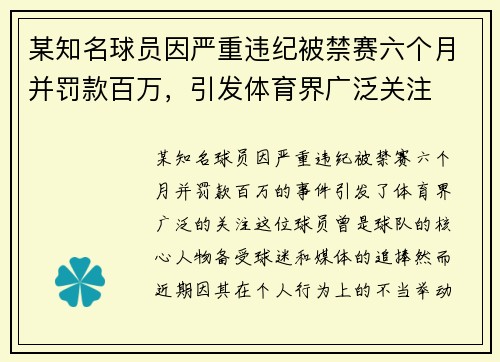 某知名球员因严重违纪被禁赛六个月并罚款百万，引发体育界广泛关注